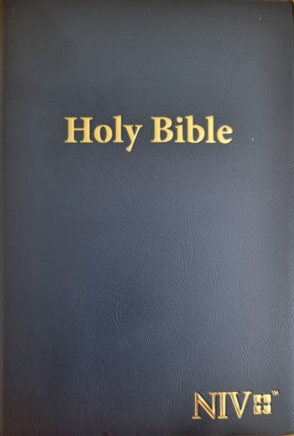 Holy Bible NIV